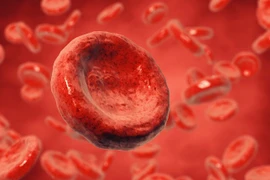  (Nguồn: Imperial College London)