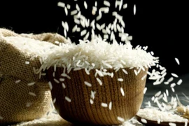 UAE áp đặt lệnh cấm xuất khẩu và tái xuất khẩu gạo trong 4 tháng