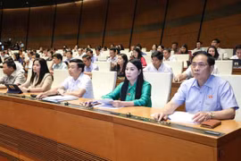 Đoàn đại biểu Quốc hội tỉnh Vĩnh Phúc biểu quyết thông qua Luật Giá (sửa đổi), Nghị quyết về phê chuẩn quyết toán ngân sách Nhà nước năm 2021. (Ảnh: Doãn Tấn/TTXVN)