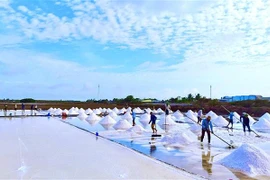 Bạc Liêu: Đẩy mạnh liên kết, xúc tiến thương mại các sản phẩm OCOP
