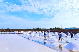 Bạc Liêu: Đẩy mạnh liên kết, xúc tiến thương mại các sản phẩm OCOP