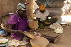 Người dân sàng ngô tại một khu chợ ở Maiadua, Nigeria. (Ảnh: AFP/TTXVN)