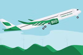 Ảnh minh họa. (Nguồn: IATA)