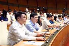 (Ảnh: Phạm Kiên/TTXVN)