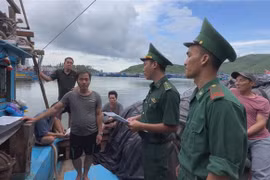 Mưa lớn từ Nam Nghệ An đến Quảng Ngãi, có khả năng kéo dài đến 2/11