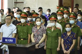Các bị cáo tại phiên tòa. (Ảnh: Xuân Tư/TTXVN)