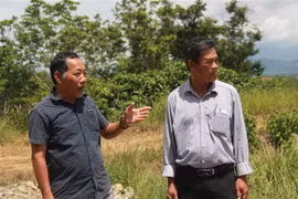 Cựu chiến binh có hai bằng Đại học, phát triển trang trại tiền tỷ