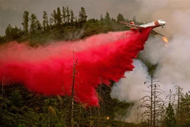 Mỹ: Công nghệ AI giúp ngăn ngừa thảm họa cháy rừng ở California