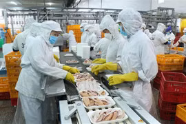 Người lao động làm việc tại Công ty TNHH San Hà, Bến Lức, Long An, Việt Nam. (Ảnh: Bùi Giang/TTXVN)