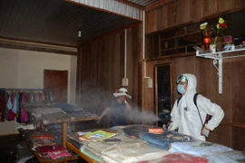 Phun thuốc trừ muỗi, phòng ngừa bệnh sốt xuất huyết được coi là giải pháp hiệu quả nhất để kiểm soát, khống chế dịch lây lan ra cộng đồng. (Ảnh: Hưng Thịnh/Vietnam+)