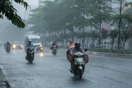 Ảnh minh họa. (Nguồn: Lê Minh Sơn/Vietnam+)