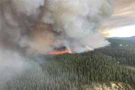 Khói bốc lên từ đám cháy rừng ở British Columbia, Canada ngày 10/7/2023. (Ảnh: AFP/TTXVN)