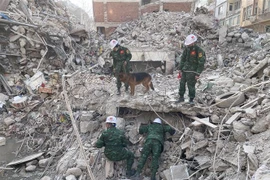 Lực lượng cứu hộ, cứu nạn của QĐND Việt Nam triển khai hoạt động tại Antakya, thủ phủ tỉnh Hatay, ngày 19/2/2023. (Ảnh: Hải Linh/TTXVN)