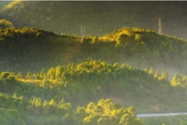 (Nguồn: The Meghalaya)