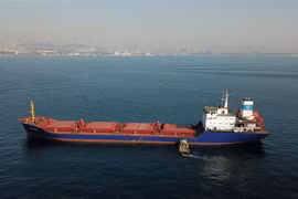 Tàu chở ngũ cốc di chuyển dọc Eo biển Bosphorus ở Istanbul, Thổ Nhĩ Kỳ. (Ảnh: AFP/TTXVN)