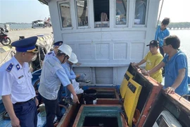 Lực lượng chức năng tỉnh Bà Rịa-Vũng Tàu kiểm tra tàu cá của ngư dân huyện Long Điền về chấp hành IUU trước khi ra khơi xuất bến. (Ảnh: Hoàng Nhị/TTXVN)