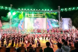 Chương trình nghệ thuật tại Lễ khai mạc. (Ảnh: Dư Toán/TTXVN)