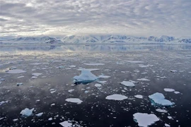 Băng trôi tại Vịnh Chiriguano, quần đảo Nam Shetland, Nam Cực, ngày 7/11/2019. (Ảnh: AFP/TTXVN)