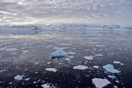 Băng trôi tại Vịnh Chiriguano, quần đảo Nam Shetland, Nam Cực, ngày 7/11/2019. (Ảnh: AFP/TTXVN)
