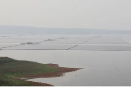 Indonesia khánh thành Nhà máy điện mặt trời nổi lớn nhất Đông Nam Á