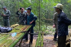 Đồng Nai: Tìm kiếm người đàn ông đi lạc nhiều ngày trong rừng Cát Tiên