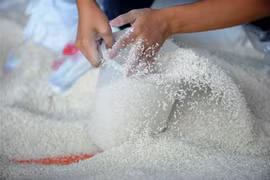 Thêm một dấu hiệu cảnh báo với các nhà nhập khẩu gạo thế giới
