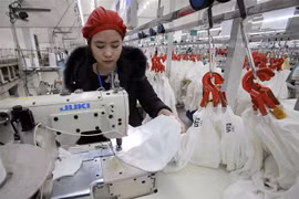 Nhìn lại 3 năm Hiệp định Thương mại Tự do giữa Việt Nam và EU