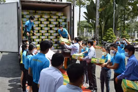 Đồng Tháp xuất khẩu lô xoài đầu năm 2022 sang thị trường châu Âu. (Ảnh: Nhựt An/TTXVN)