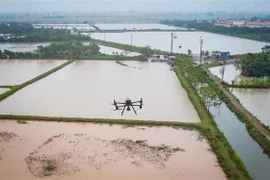 Một chiếc UAV đang trong quá trình đo đạc, xác mịnh mốc chỉ giới đỏ cho dự án Vành đai 4-Vùng thủ đô. (Ảnh: Trung Nguyên/TTXVN)