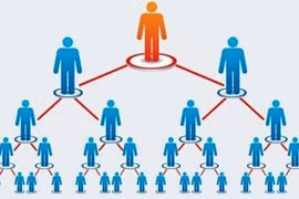 Dừng hoạt động bán hàng đa cấp của Công ty TNHH Absonutrix Việt Nam