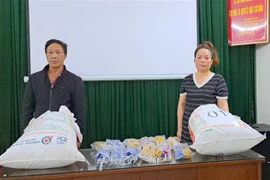 Hai đối tượng tham gia vận chuyển, mua bán vật liệu nổ trái phép tại Cát Bà, Cát Hải, Hải Phòng. (Ảnh: TTXVN)