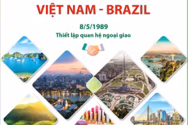 [Infographics] Quan hệ Đối tác Toàn diện Việt Nam-Brazil