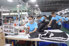 Số lao động làm việc tại Công ty cổ phần cắt may Sofa Hoa Sen (Khu Công nghiệp Long Đức, thành phố Trà Vinh) giảm hơn 50% so với thời điểm trước dịch COVID-19 do thiếu đơn hàng. (Ảnh: Thanh Hòa/TTXVN) 