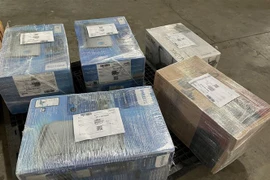 Ma túy được ngụy trang giấu trong các kiện hàng, thùng carton gửi từ Cộng hòa Liên bang Đức về Việt Nam. (Ảnh: TTXVN phát)