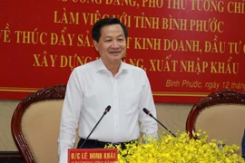 Phó Thủ tướng Lê Minh Khái phát biểu chỉ đạo tại buổi làm việc. (Ảnh: Đậu Tất Thành/TTXVN)