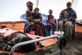 CHDC Congo ghi nhận hơn 41.000 ca mắc bệnh tả, 314 người tử vong