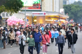 (Ảnh: Tuấn Đức/TTXVN)