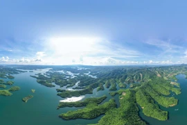 Vườn Quốc gia Tà Đùng - báu vật của mảnh đất Tây Nguyên về cả mặt kinh tế và tự nhiên. (Ảnh: Dương Giang/TTXVN) 