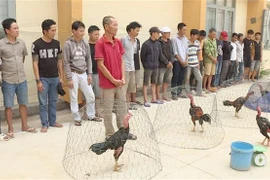 Các đối tượng cùng tang vật vụ việc. (Ảnh: TTXVN phát)