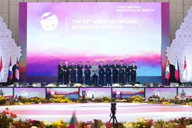 Thông qua Kế hoạch hành động Quan hệ Đối tác kinh tế ASEAN-Nhật Bản