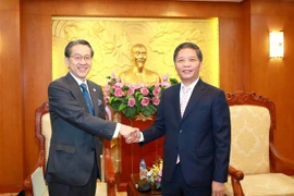 Trưởng Ban Kinh tế Trung ương Trần Tuấn Anh tiếp Chủ tịch Hội đồng Quản trị Ngân hàng Quốc tế Nhật Bản Maeda Tadashi. (Ảnh: Phương Hoa/TTXVN)
