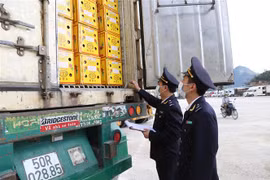 Hải quan Tân Thanh kiểm đếm nông sản tại cửa khẩu. (Ảnh: Quang Duy/TTXVN)