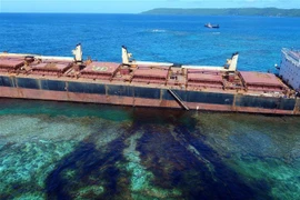 Dầu tràn trên biển. (Ảnh: AFP/ TTXVN)