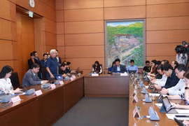 Đoàn đại biểu Quốc hội Thành phố Hà Nội thảo luận ở tổ. (Ảnh: Doãn Tấn/TTXVN)