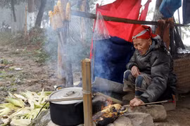 (Ảnh minh họa: Quốc Khánh/TTXVN)