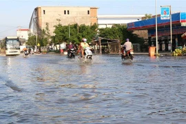 (Ảnh minh họa: Huỳnh Sử/TTXVN)