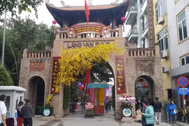 Tuần lễ văn hóa du lịch thương mại làng nghề Vạn Phúc. (Ảnh: Đinh Thuận/TTXVN)