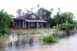 (Ảnh minh họa: Công Tường/TTXVN)