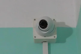 (Ảnh minh họa: Bích Huệ/TTXVN)