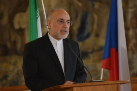 Người đứng đầu Tổ chức Năng lượng Nguyên tử Iran Ali Akbar Salehi. (Nguồn: AFP/TTXVN)